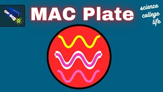 Macconkey Agar Test  MAC Plate Procedure Microbiology Lab [upl. by Ayaladnot]