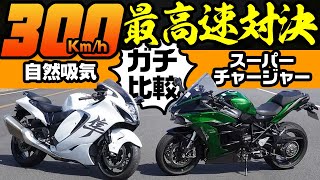 【最高速対決】ハヤブサ対H2SX 300kmhガチ対決。自然吸気とスーパーチャージャーどちらが速いのか？ [upl. by Novaj776]