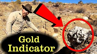 5 MINUTES a Day to MASSIVE Gold Finds in 2024 [upl. by Arnaud]