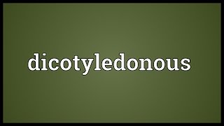 Dicotyledonous Meaning [upl. by Nerta345]