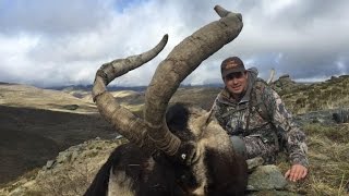 Gredos Ibex Hunting with La Pedriza Caza y Gestion [upl. by Merrill331]