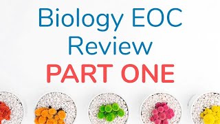 Biology EOC Review  Part 1 [upl. by Mumford230]