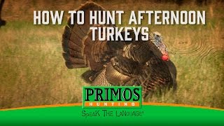 How to Hunt Afternoon Turkeys [upl. by Bathesda]