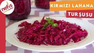 Kırmızı Lahana Turşusu  Turşu Tarifi  Nefis Yemek Tarifleri [upl. by Acimot]