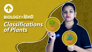 Classifications of Plants  Hindi  Biology [upl. by Avehstab53]