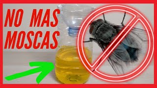 🦟 LA MEJOR TRAMPA PARA MOSCAS CASERA INGREDIENTE SECRETO [upl. by Bowne226]