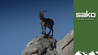 Longrange Spanish ibex hunt [upl. by Pardoes918]