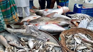 Chittagong fish Market [upl. by Bunny254]