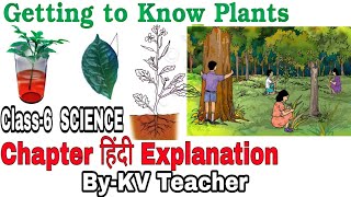 PART1 Getting To Know Plants  Class6 SCIENCE NCERT Chapter 7 हिन्दी Explanation ByKV Teacher [upl. by Peace575]