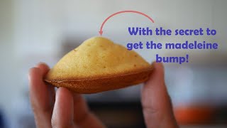 French Madeleine Cookie Recipe [upl. by Anwahsit718]