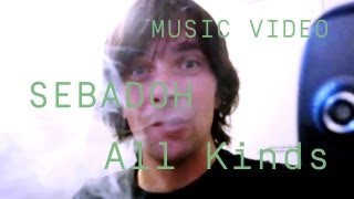 Sebadoh  quotAll Kindsquot Official Music Video [upl. by Atsejam]