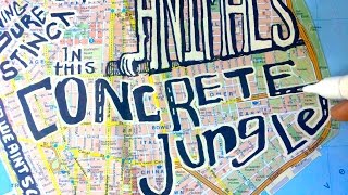 Concrete Jungle  Lyric Video [upl. by Anizor783]