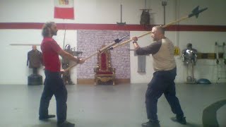 HEMA HALBERD VS POLEAXE [upl. by Burwell]