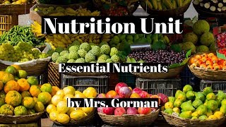 nutrition Six essential nutrients [upl. by Ydnic766]