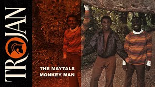 The Maytals Monkey Man official audio [upl. by Nylirek]