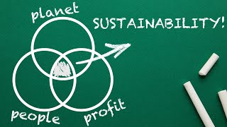 What is SUSTAINABILITY Explained By An Expert [upl. by Anihc]