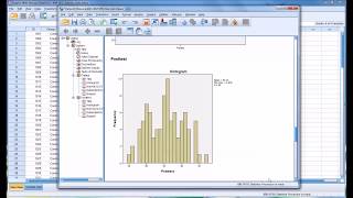 Conducting a ShapiroWilk Normality Test in SPSS [upl. by Sudnak751]