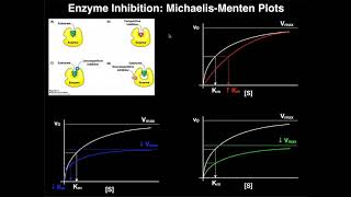 Enzyme Inhibitors  Mechanisms MichaelisMenten Plots amp Effects [upl. by Ashli516]