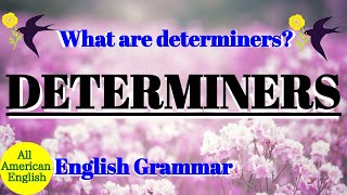 DETERMINERS  What are DETERMINERS  English Grammar  Intermediate  All American English [upl. by Mendel]