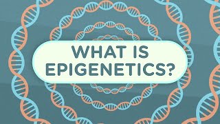 Epigenetics Explained  Penn Medicine [upl. by Aloysia]