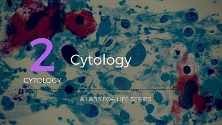 Cytology [upl. by Neirual]