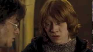 Harry and Ron Forgive and Forget  Harry Potter and the Goblet of Fire [upl. by Erhard]