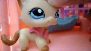 LPS  Love Story  Episode 3 [upl. by Ttelrahc]