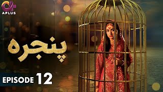 Pakistani Drama  Pinjra  Episode 12  Aplus Gold  Yumna Zaidi Nauman Aijaz  CZ1O [upl. by Cirle]