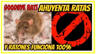 Sonido ahuyenta ratas y ratones funciona 100 [upl. by Faustena711]