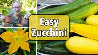 Growing Zucchini Courgettes from Sowing to Harvest [upl. by Cresa255]