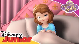 La Princesa Sofía Nuevos episodios  Disney Junior Oficial [upl. by Drawets271]