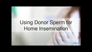 IVF Insemination What is Involved [upl. by Nidnarb207]