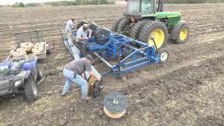 Installing Subsurface Drip Irrigation [upl. by Jeannine]