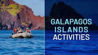 Discover the Top Galapagos Islands Activities with Metropolitan Touring [upl. by Ahtabat]