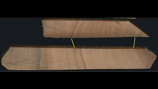 Dendrochronology  why are tree rings useful [upl. by Aryas68]