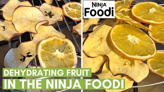 Dehydrating Fruit in the Ninja Foodi [upl. by Norris]