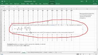 Cronbachs Alpha  Excel [upl. by Aia]