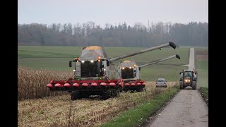 Doublé Claas Battage de Maïs 2020 🌽🇨🇭 [upl. by Aicelav]