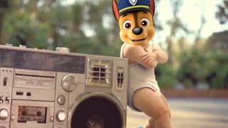 Paw Patrol amp Baby Dance  Coffin Dance Meme Parody [upl. by Oivat]