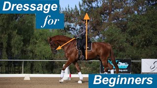 Dressage for Beginners [upl. by Alliuqat]