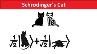 Schrodingers Cat Explained in Hindi  Quantum Physics Many World Theory amp Reality [upl. by Erehpotsirhc]