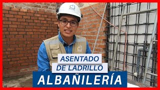 CÓMO ASENTAR LADRILLO CORRECTAMENTE  TIPS CONSTRUCTOR  ALBAÑILERIÁ [upl. by Ellenor577]