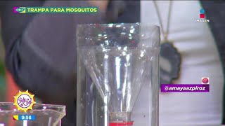 ¡Trampa casera para atrapar mosquitos  Sale el Sol [upl. by Ark]