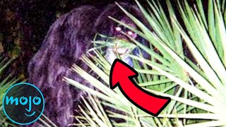 Top 10 Famous Real Life Monsters Caught on Camera [upl. by Dewhurst610]