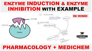 Enzyme Induction  Enzyme Inhibition  Pharmacology  Medicinal Chemistry  Carewell Pharma [upl. by Layton]