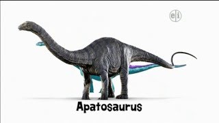 Dinosaur Discoveries Apatosaurus [upl. by Eelyrag217]