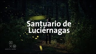 Santuario de Luciérnagas 4K  Alan por el mundo [upl. by Colville789]