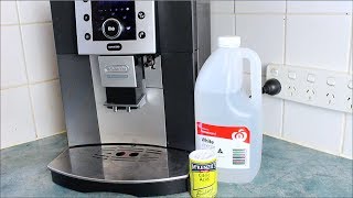 Homemade Coffee Descaler  How to video [upl. by Aoket]