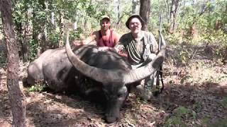 WATER BUFFALO  Hunting in Australia  Water Buffalo amp Wild Boar in the Outback [upl. by Nnad222]