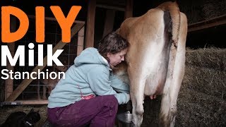 Easy to Build DIY Milk Stanchion for Milking the Family Cow [upl. by Atteloiv]